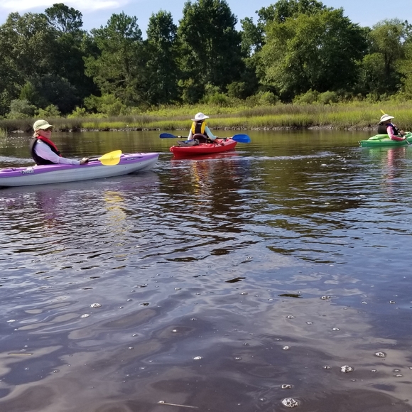 Meet your Posher, Lorilyn - Picture 5 of 16
